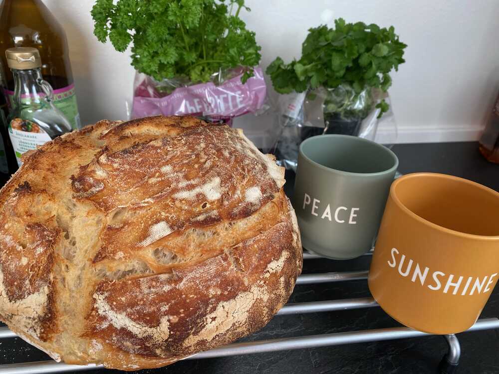 Hvad kan en søndag byde på. Surdejsbrød